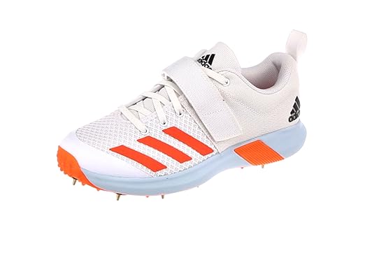 810Jp1oLR+L.SX522_.png